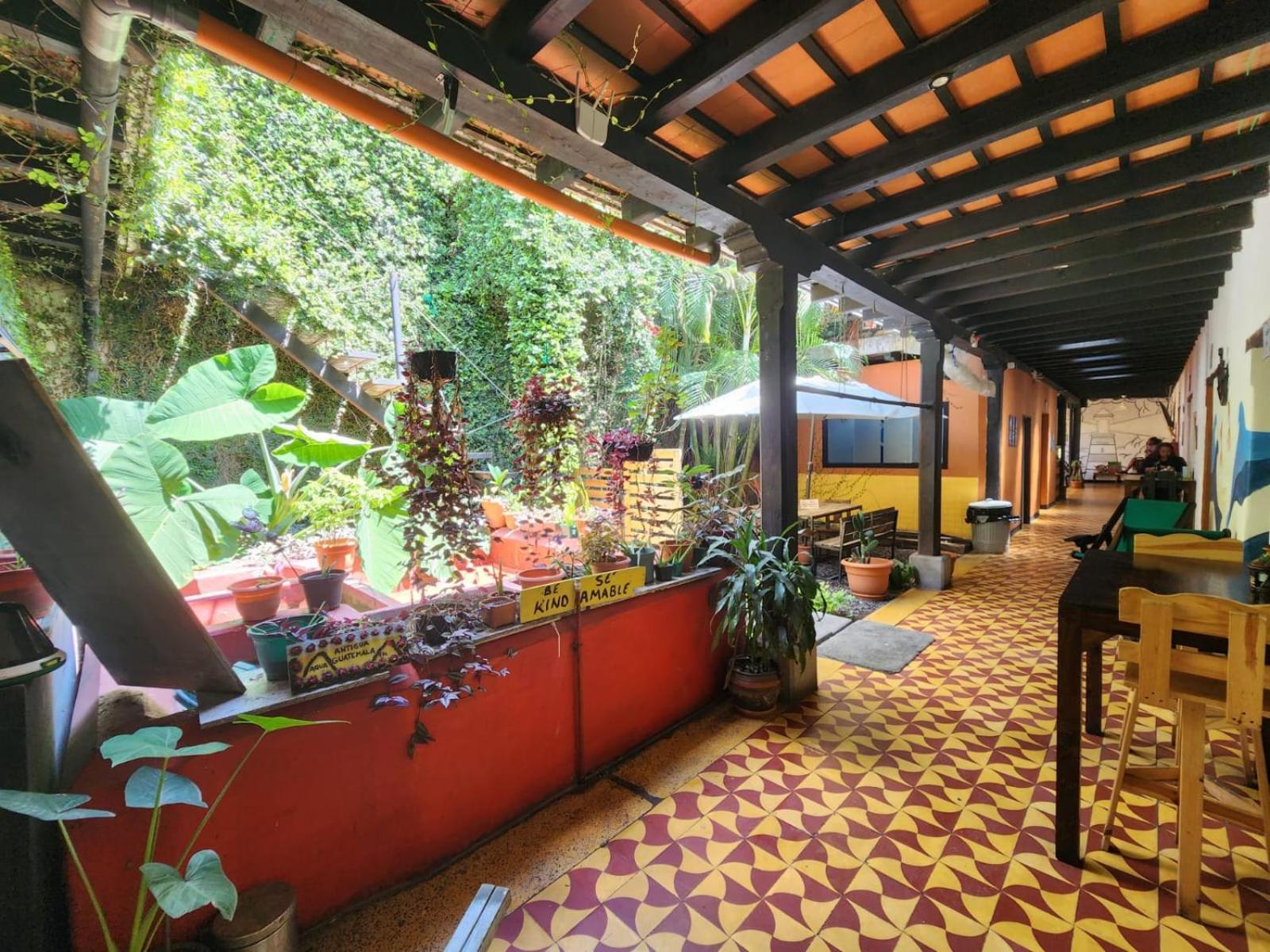 Amura Hostal 안티구아 과테말라 외부 사진